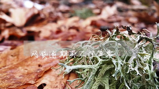 网贷逾期买不了车票 网贷逾期买不了车票