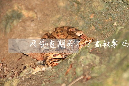 网贷逾期买不了高铁票吗 网贷逾期买不了高铁票吗