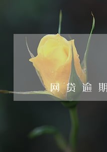 网贷逾期买了意外险死亡 网贷逾期买了意外险死亡