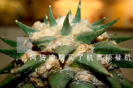 网贷逾期买了机票能登机吗 网贷逾期买了机票能登机吗