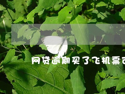 网贷逾期买了飞机票可以坐飞机吗 网贷逾期买了飞机票可以坐飞机吗