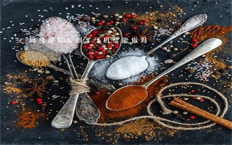网贷逾期买到了飞机票能做吗 网贷逾期买到了飞机票能做吗