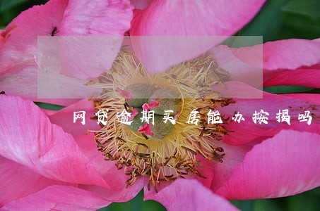 网贷逾期买房能办按揭吗 网贷逾期买房能办按揭吗
