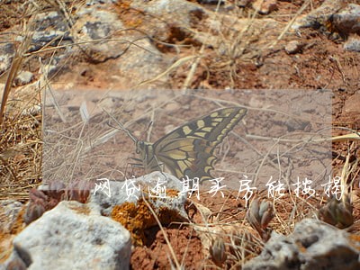网贷逾期买房能按揭 网贷逾期买房能按揭