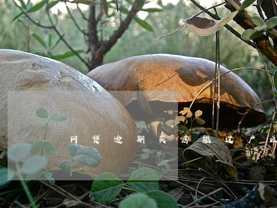 网贷逾期买房能过户么
