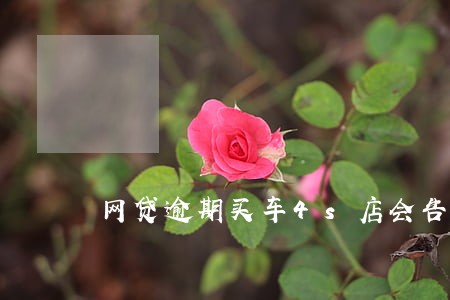 网贷逾期买车4s店会告知吗 网贷逾期买车4s店会告知吗