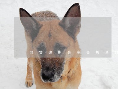 网贷逾期买车会被查封吗 网贷逾期买车会被查封吗
