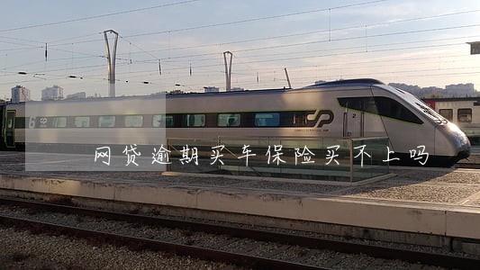 网贷逾期买车保险买不上吗 网贷逾期买车保险买不上吗
