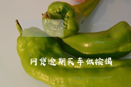 网贷逾期买车做按揭 网贷逾期买车做按揭