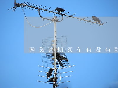 网贷逾期买车有没有影响 网贷逾期买车有没有影响