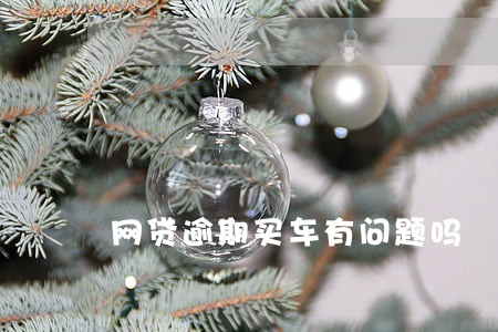 网贷逾期买车有问题吗 网贷逾期买车有问题吗