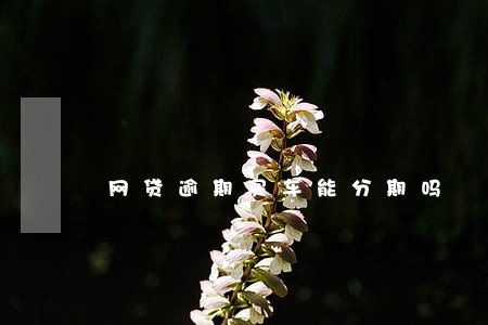 网贷逾期买车能分期吗