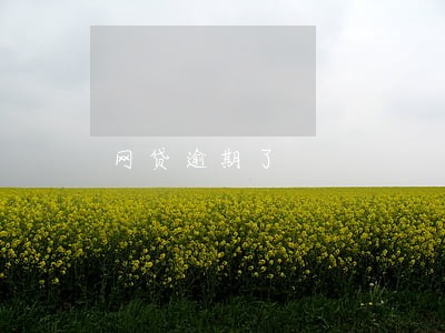 网贷逾期了