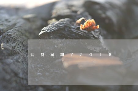 网贷逾期了2018 网贷逾期了2018