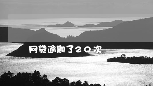 网贷逾期了20次