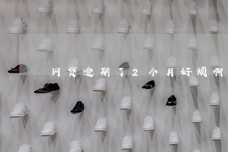 网贷逾期了2个月好烦啊 网贷逾期了2个月好烦啊