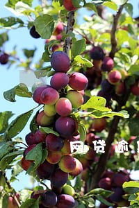 网贷逾期了2天 网贷逾期了2天