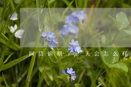 网贷逾期了2天会怎么样