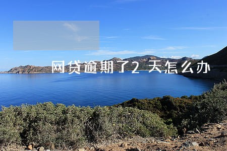 网贷逾期了2天怎么办 网贷逾期了2天怎么办