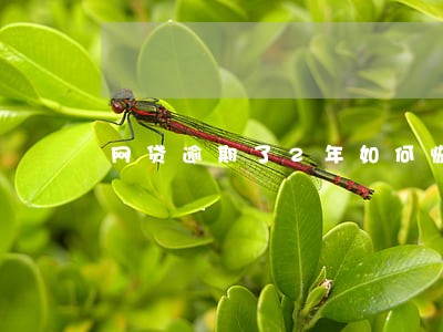 网贷逾期了2年如何恢复 网贷逾期了2年如何恢复