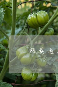 网贷逾期了2年能办信用卡吗 网贷逾期了2年能办信用卡吗