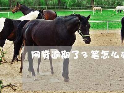 网贷逾期了3笔怎么办 网贷逾期了3笔怎么办