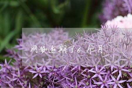 网贷逾期了6个月 网贷逾期了6个月