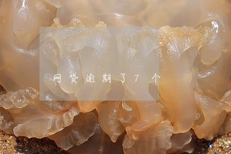 网贷逾期了7个 网贷逾期了7个