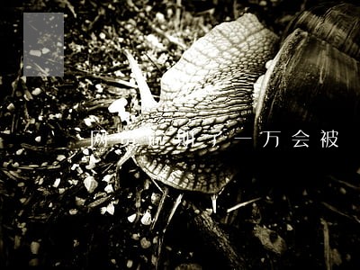 网贷逾期了一万会被 网贷逾期了一万会被