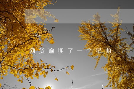 网贷逾期了一个星期 网贷逾期了一个星期