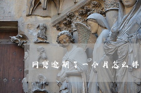 网贷逾期了一个月怎么样 网贷逾期了一个月怎么样