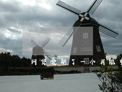 网贷逾期了一个月能申请驳回吗 网贷逾期了一个月能申请驳回吗