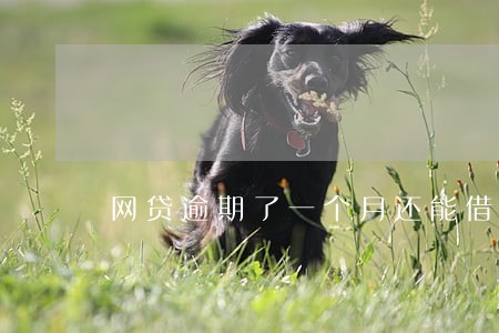 网贷逾期了一个月还能借款吗 网贷逾期了一个月还能借款吗
