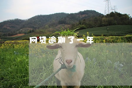网贷逾期了一年 网贷逾期了一年