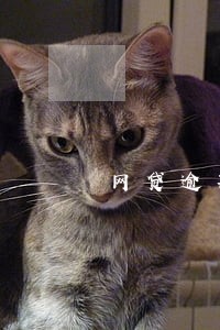 网贷逾期了一年多了最后还了