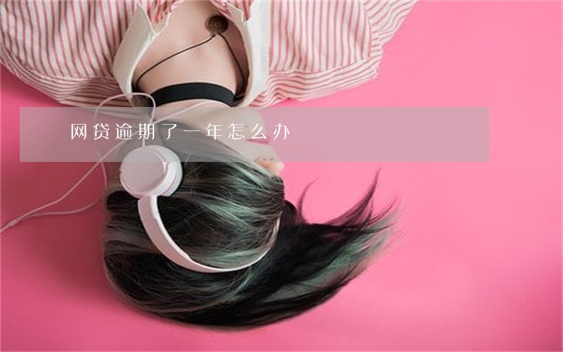 网贷逾期了一年怎么办 网贷逾期了一年怎么办