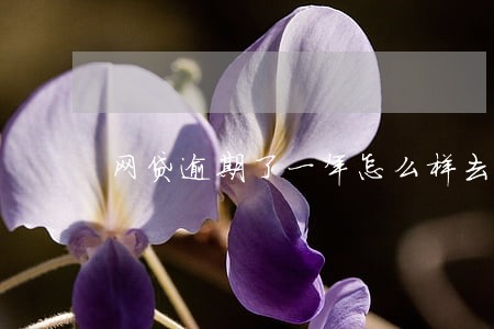 网贷逾期了一年怎么样去还款 网贷逾期了一年怎么样去还款