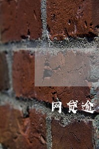 网贷逾期了一次性结清 网贷逾期了一次性结清