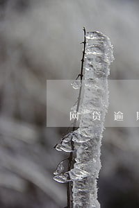网贷逾期了一直不接电话会咋样