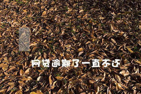 网贷逾期了一直不还 网贷逾期了一直不还