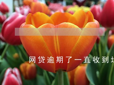 网贷逾期了一直收到垃圾信息 网贷逾期了一直收到垃圾信息