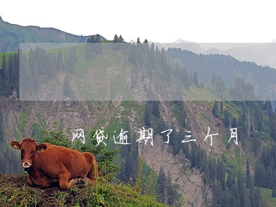 网贷逾期了三个月