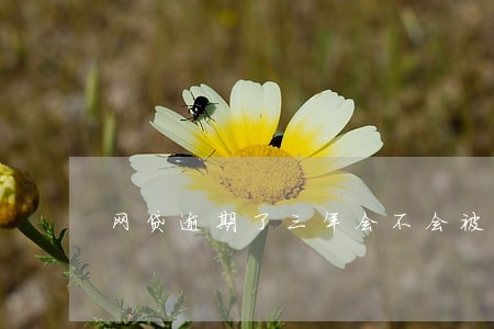 网贷逾期了三年会不会被起诉 网贷逾期了三年会不会被起诉