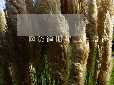 网贷逾期了三年没还 网贷逾期了三年没还