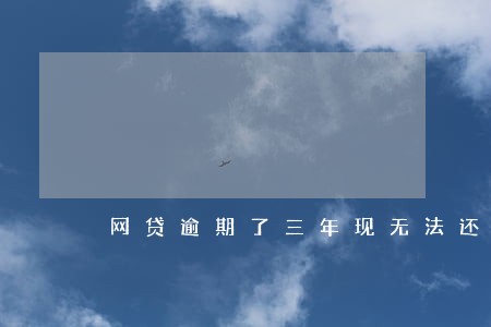 网贷逾期了三年现无法还款怎么办 网贷逾期了三年现无法还款怎么办
