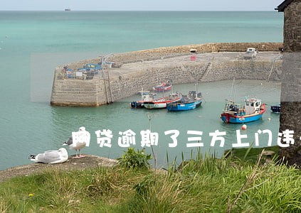 网贷逾期了三方上门违法吗 网贷逾期了三方上门违法吗
