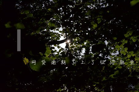网贷逾期了上了征信能坐飞机吗