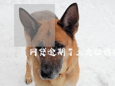 网贷逾期了上交征信会怎么样 网贷逾期了上交征信会怎么样