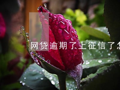 网贷逾期了上征信了怎么办 网贷逾期了上征信了怎么办