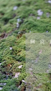 网贷逾期了上门催收怎么办 网贷逾期了上门催收怎么办